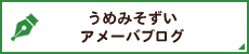 うめみそずいアメーバブログ